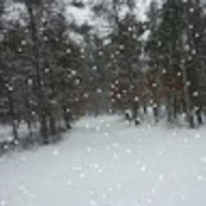 Meet your Posher, Darcey